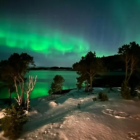 Modern With Panoramic Views Of Vestfjorden 펜션 Tranøya